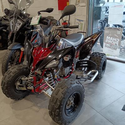 YAMAHA YFM 250 RAPTOR
