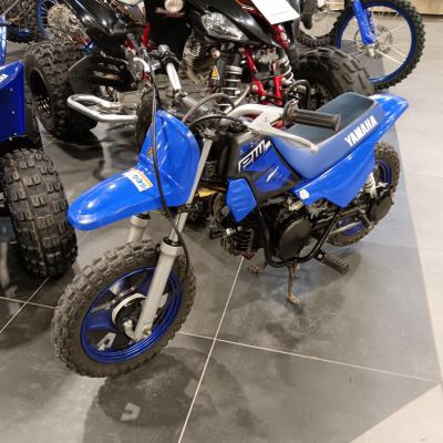 YAMAHA PW50